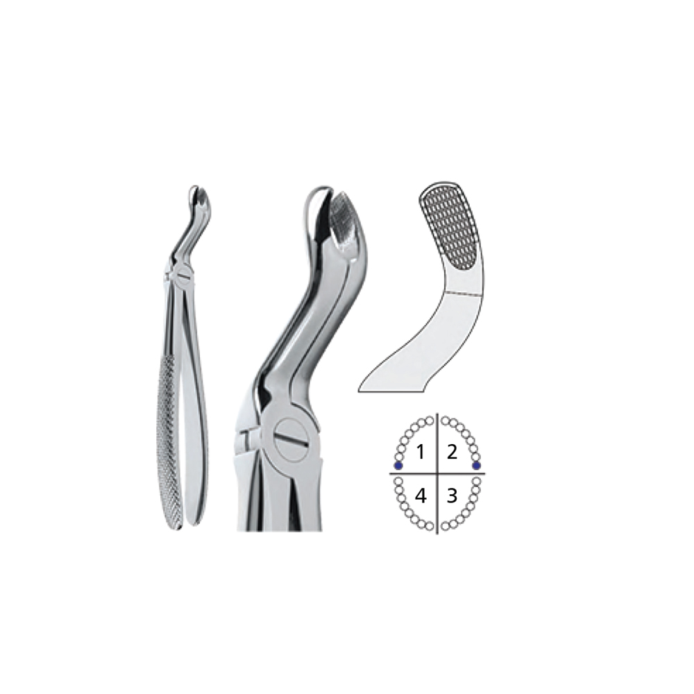 extracting-forceps-english-pattern11111